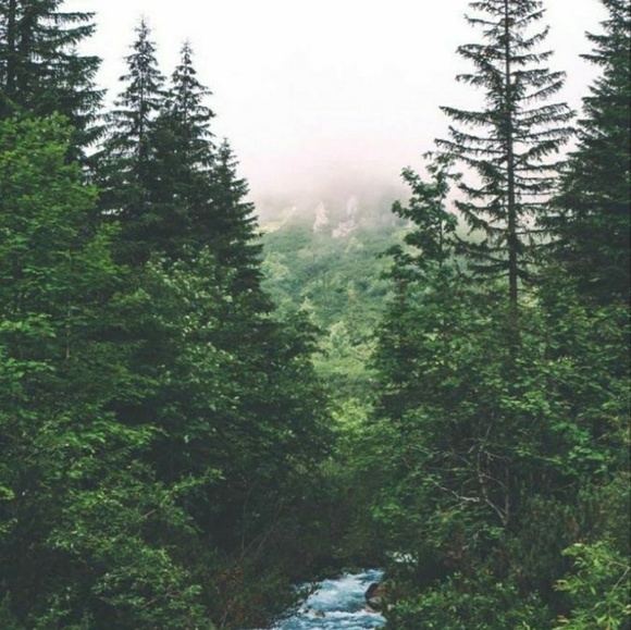 Meet your Posher, Ravelle - Picture 1 of 1